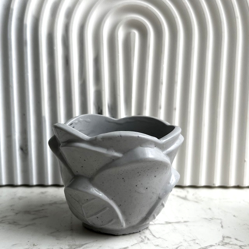 Stampo in silicone per fiorier - Potsticker Mold recensione e prezzo